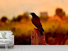 Load image into Gallery viewer, Photo Wallpaper The crow in the evening light
