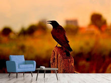 Load image into Gallery viewer, Photo Wallpaper The crow in the evening light