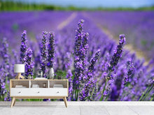 Load image into Gallery viewer, Photo Wallpaper The lavender flowers