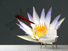 Load image into Gallery viewer, Photo Wallpaper The dragonfly on the flower
