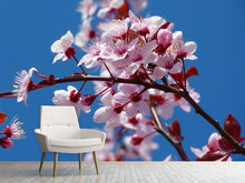 Load image into Gallery viewer, Photo Wallpaper The almond blossom