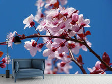 Load image into Gallery viewer, Photo Wallpaper The almond blossom