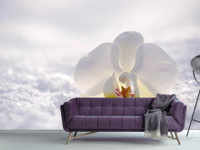 Load image into Gallery viewer, Photo Wallpaper The orchids bloom
