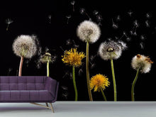 Load image into Gallery viewer, Photo Wallpaper The phases of dandelion