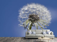 Load image into Gallery viewer, Photo Wallpaper The dandelion in XXL
