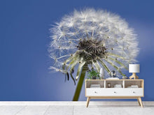 Load image into Gallery viewer, Photo Wallpaper The dandelion in XXL