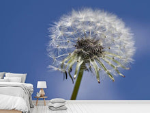 Load image into Gallery viewer, Photo Wallpaper The dandelion in XXL