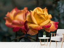 Load image into Gallery viewer, Photo Wallpaper The rose in the garden