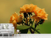 Load image into Gallery viewer, Photo Wallpaper The roses in nature