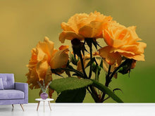Load image into Gallery viewer, Photo Wallpaper The roses in nature