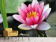 Load image into Gallery viewer, Photo Wallpaper The water lily in pink