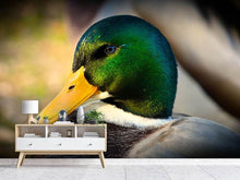 Load image into Gallery viewer, Photo Wallpaper The mallard