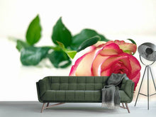 Load image into Gallery viewer, Photo Wallpaper The proud rose