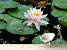 Load image into Gallery viewer, Photo Wallpaper The proud water lily