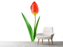 Load image into Gallery viewer, Photo Wallpaper The proud tulip