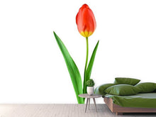 Load image into Gallery viewer, Photo Wallpaper The proud tulip