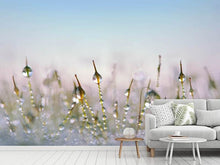 Load image into Gallery viewer, Photo Wallpaper The dew drops