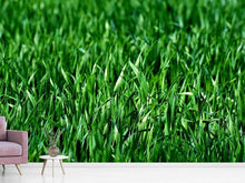 Load image into Gallery viewer, Photo Wallpaper The meadow in XL