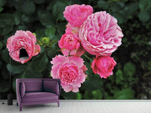 Load image into Gallery viewer, Photo Wallpaper The wild roses in pink