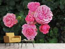 Load image into Gallery viewer, Photo Wallpaper The wild roses in pink
