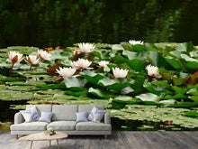 Load image into Gallery viewer, Photo Wallpaper A field full of water lilies