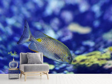 Load image into Gallery viewer, Photo Wallpaper A fish in the aquarium