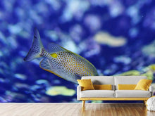 Load image into Gallery viewer, Photo Wallpaper A fish in the aquarium