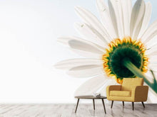 Load image into Gallery viewer, Photo Wallpaper A daisy