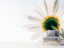 Load image into Gallery viewer, Photo Wallpaper A daisy