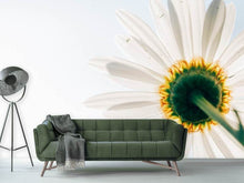 Load image into Gallery viewer, Photo Wallpaper A daisy