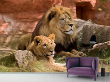 Load image into Gallery viewer, Photo Wallpaper A lion couple