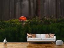 Load image into Gallery viewer, Photo Wallpaper A mushroom in the forest