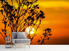 Load image into Gallery viewer, Photo Wallpaper A shrub in the sunset