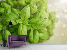 Load image into Gallery viewer, Photo Wallpaper A bouquet of basil