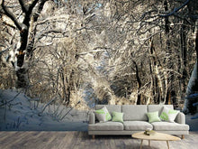 Load image into Gallery viewer, Photo Wallpaper A winter dream