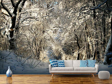 Load image into Gallery viewer, Photo Wallpaper A winter dream