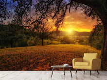 Load image into Gallery viewer, Photo Wallpaper A landscape in the sunset