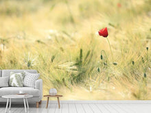 Load image into Gallery viewer, Photo Wallpaper A poppy