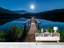 Load image into Gallery viewer, Photo Wallpaper One night at full moon