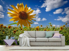 Load image into Gallery viewer, Photo Wallpaper A sunflower among many