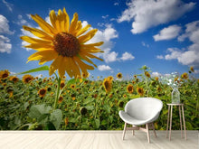 Load image into Gallery viewer, Photo Wallpaper A sunflower among many