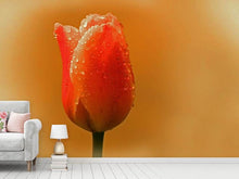 Load image into Gallery viewer, Photo Wallpaper A tulip in the morning dew