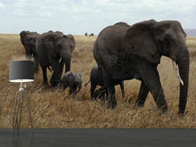 Load image into Gallery viewer, Photo Wallpaper Elephant family