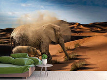 Load image into Gallery viewer, Photo Wallpaper Elephants in the desert