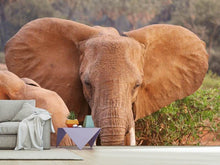 Load image into Gallery viewer, Photo Wallpaper Elephant ears