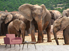Load image into Gallery viewer, Photo Wallpaper Elephant herd in Africa