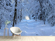 Load image into Gallery viewer, Photo Wallpaper Finally winter