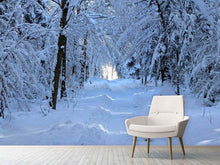 Load image into Gallery viewer, Photo Wallpaper Finally winter