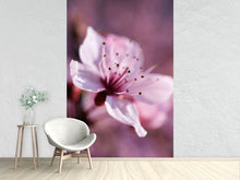 Load image into Gallery viewer, Photo Wallpaper Adorable cherry blossom