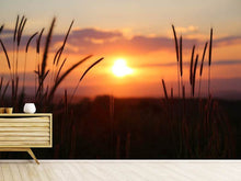 Load image into Gallery viewer, Photo Wallpaper Adorable sunset